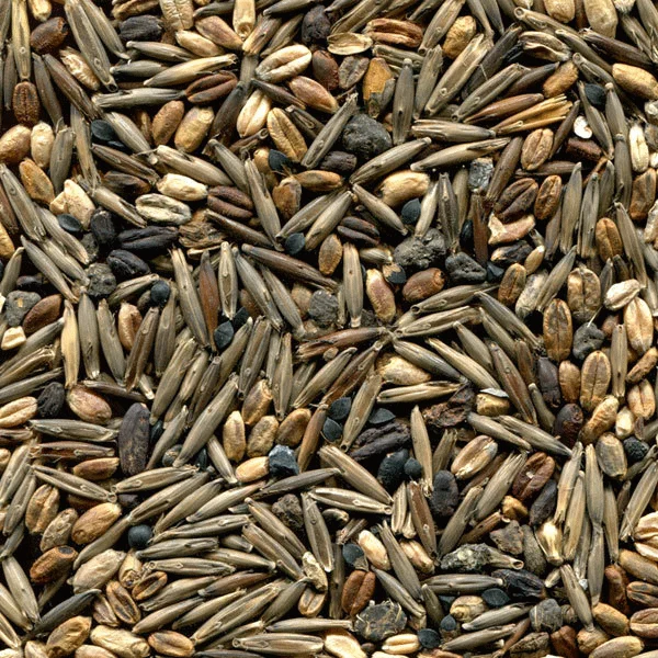 do-ochistki