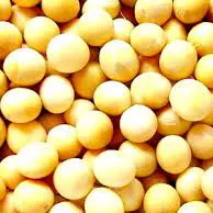 soya